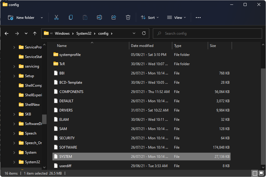 HKEY_LOCAL_MACHINE storage file