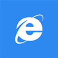 Internet Explorer 11.0